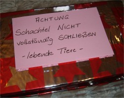 weihnachtsgeschenk