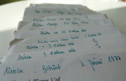 kinderfotos, wohl sortiert kinderfotos, wohl sortiert