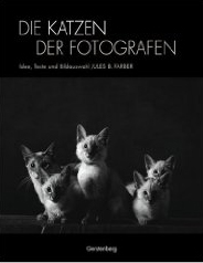 die katzen der fotografen